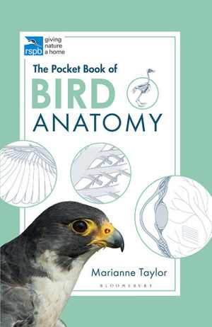 [EPUB] دانلود کتاب The Pocket Book Of Bird Anatomy, 2020