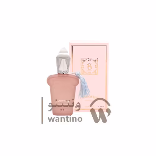 عطر ادکلن کارنشن برندینی (Brandini Carnation) 33 میل