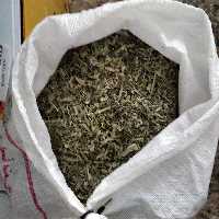 پونه معطر کوهی زاگرس  500 گرم