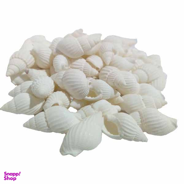 صدف تزیینی مدل 15 KMS وزن 40 گرم