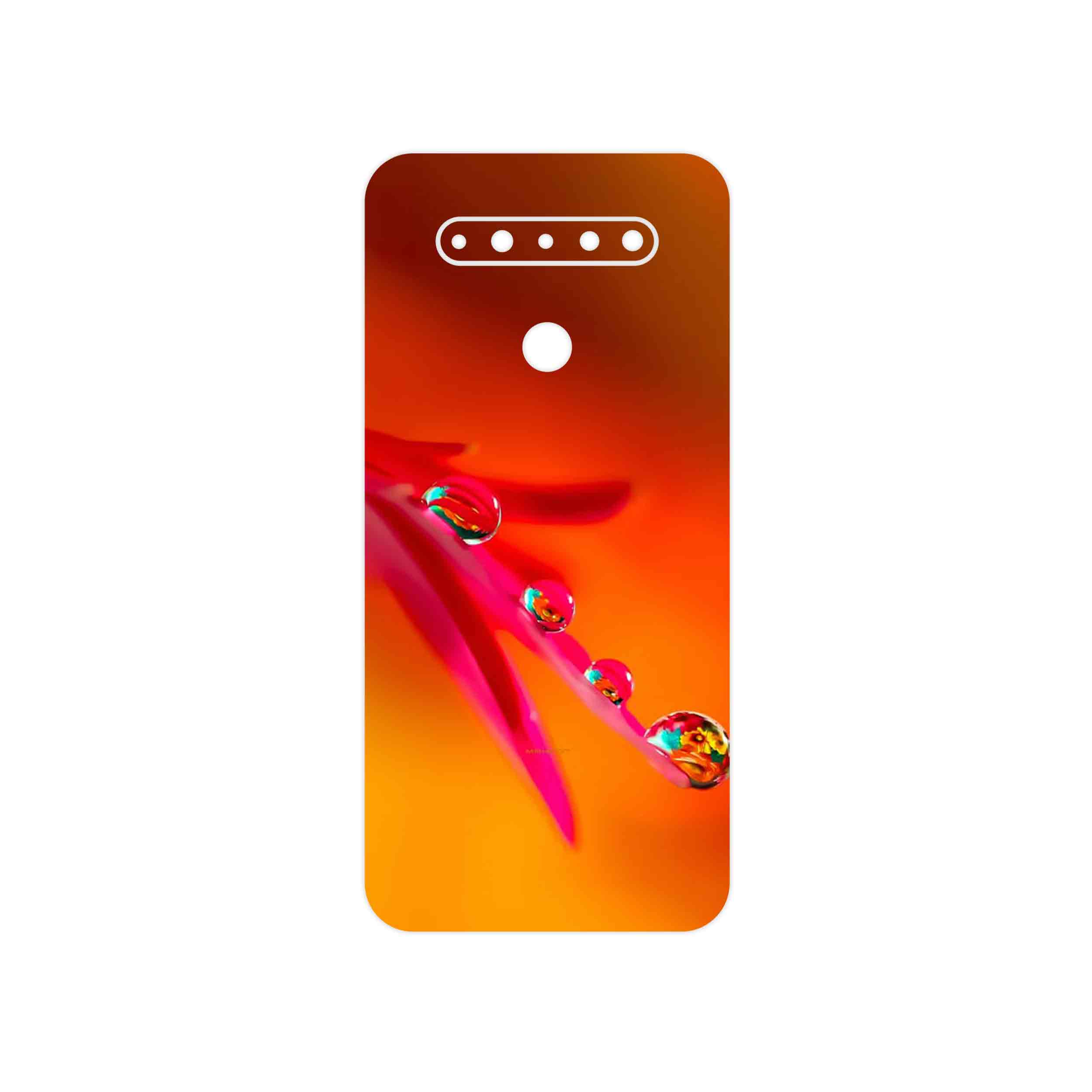 برچسب پوششی ماهوت مدل Plant dew مناسب برای گوشی موبایل ال جی K51s