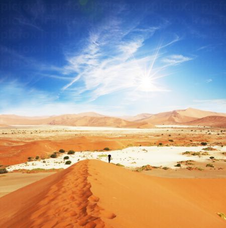 خرید و دانلود عکس Nature-Part-9 کد 37307 | پیک فاکس | Pic Fox