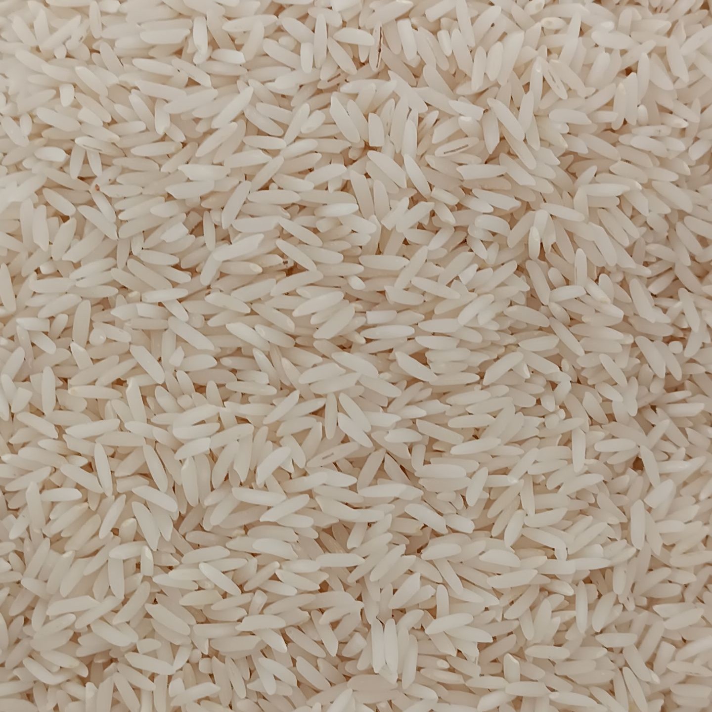 برنج طارم هاشمی درجه یک رودخانه ای 