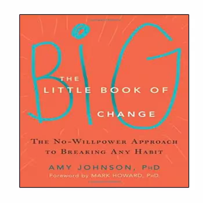 کتاب The Little Book of Big Change اثر Amy Johnson and Mark Howard انتشارات نبض دانش