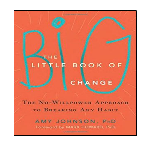 کتاب The Little Book of Big Change اثر Amy Johnson and Mark Howard انتشارات نبض دانش