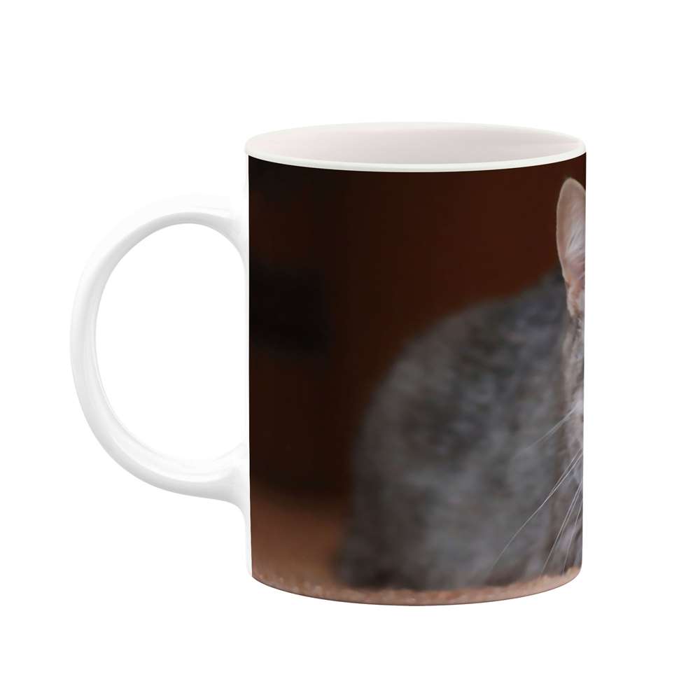 ماگ طرح گربه مدل mgs07408