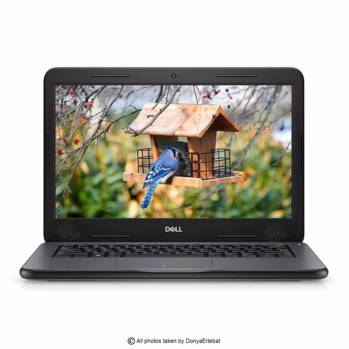لپ تاپ لمسی DELL مدل Latitude 3300