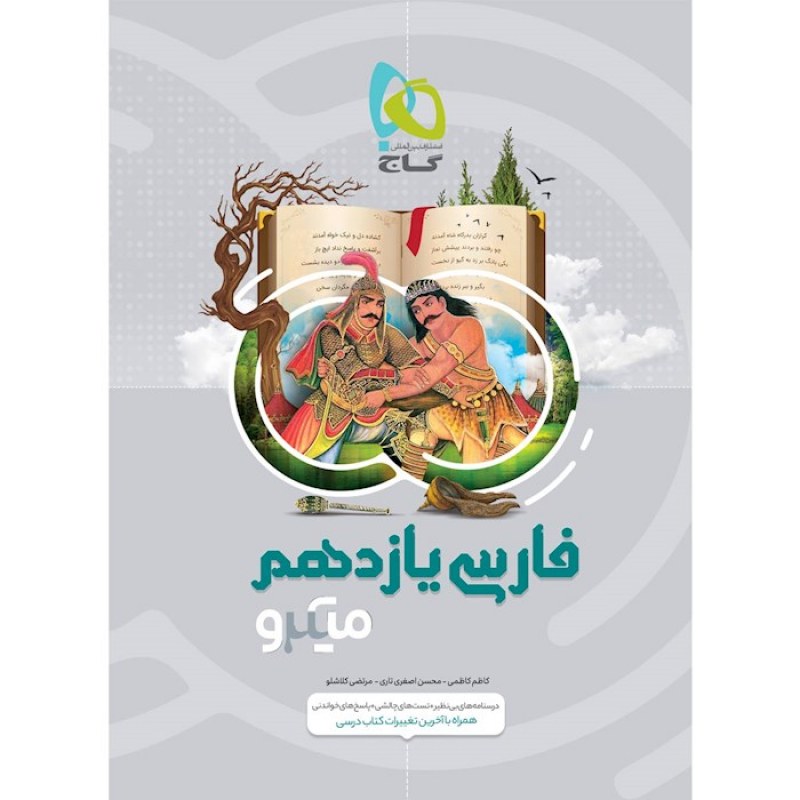 گاج میکرو فارسی یازدهم
