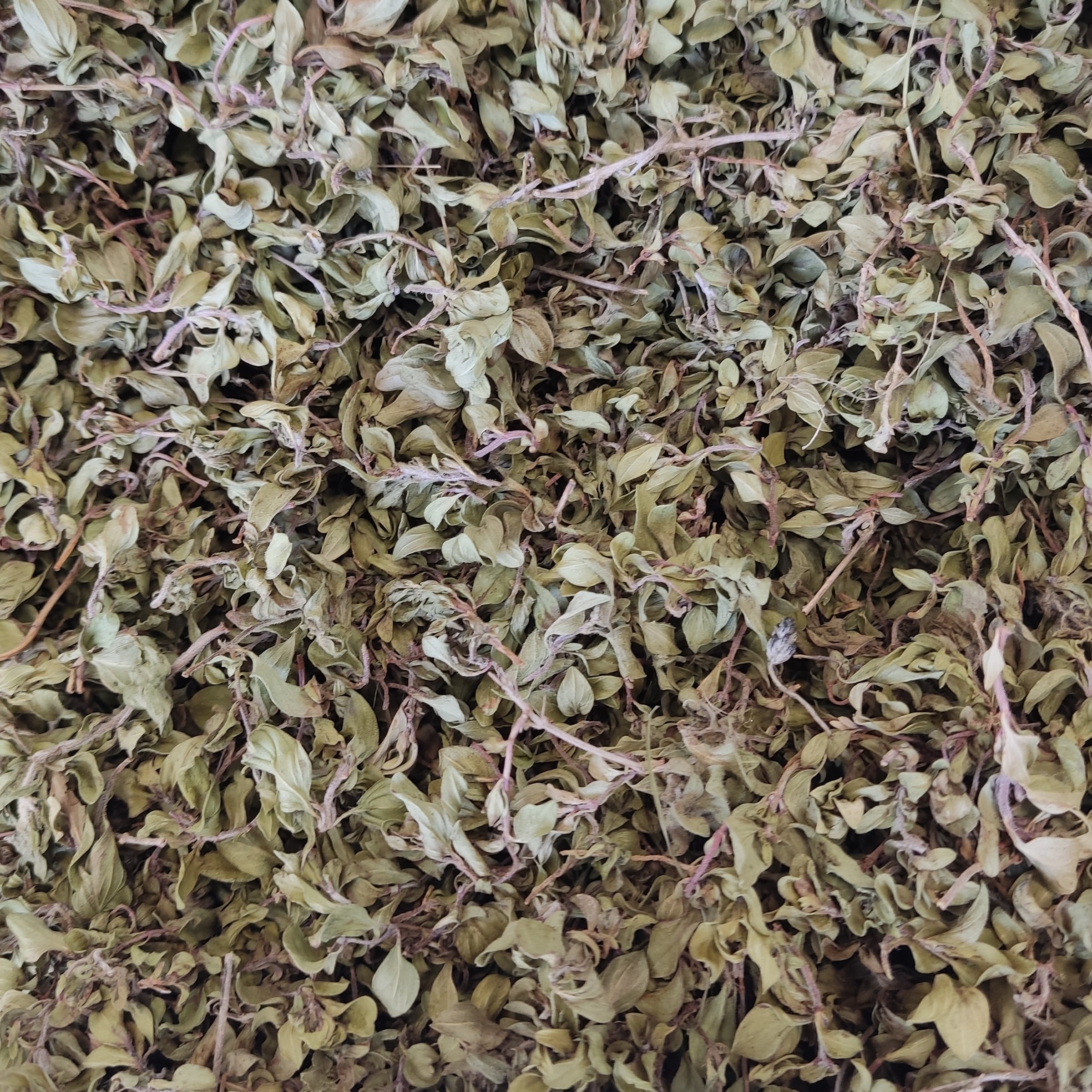 آویشن کوهی جمع آوری شده از کوهای شمال خراسان 250 گرمی