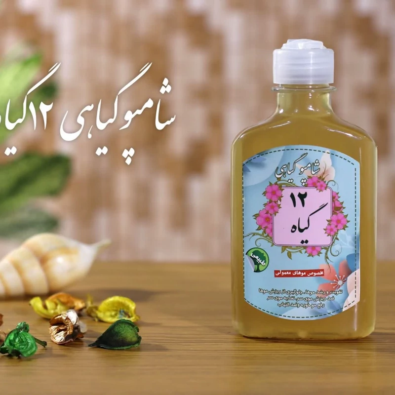 شامپو گیاهی دوازده گیاه برکت (تقویت مو)(مناسب موهای معمولی و چرب) | amazonchi