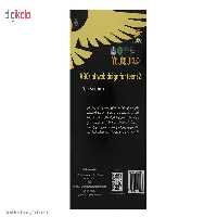 کتاب الفبای طراحی سایت برای نوجوانان سطح 2 اثر سارا فزیدمهر