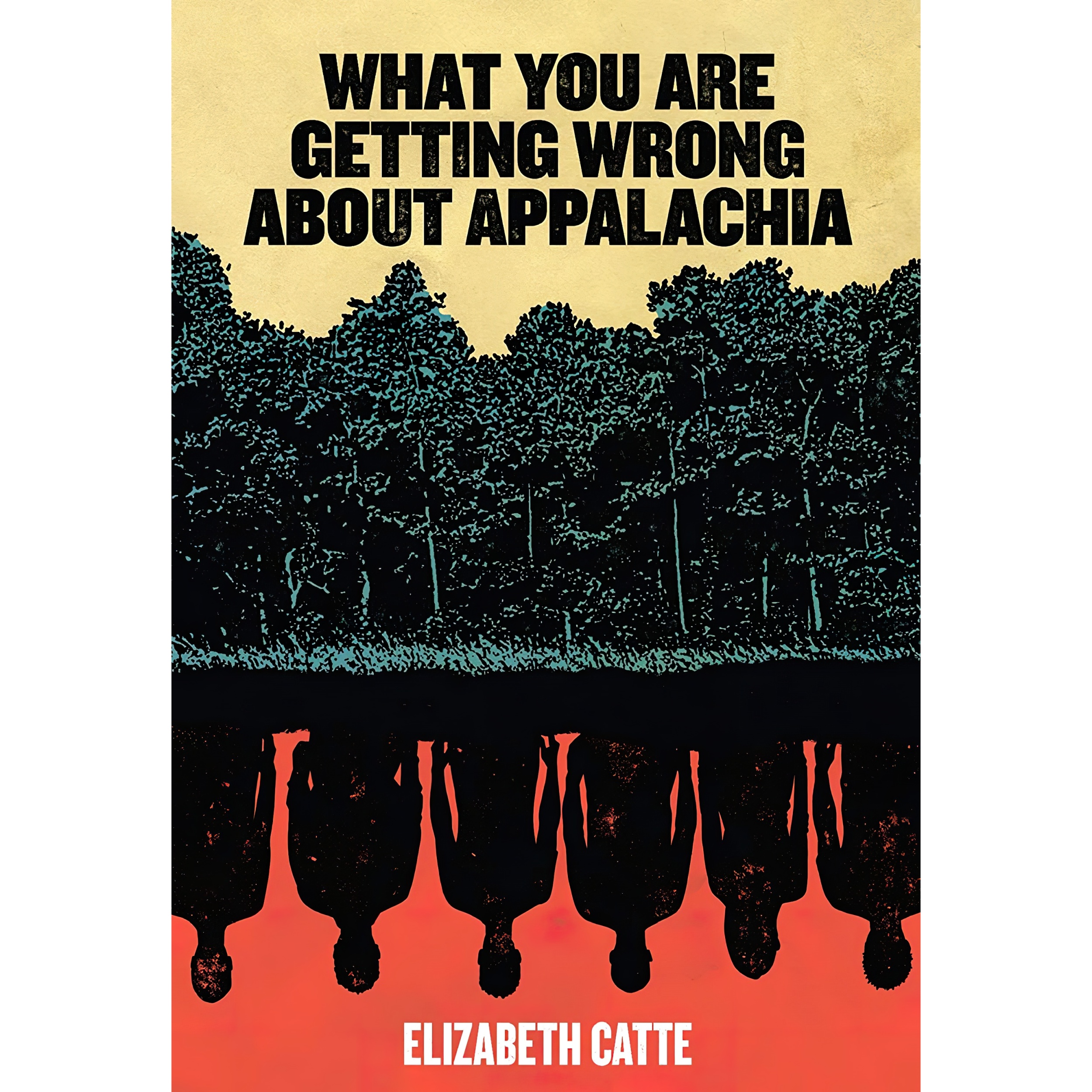 کتاب What You Are Getting Wrong About Appalachia اثر Elizabeth Catte انتشارات Belt Publishing