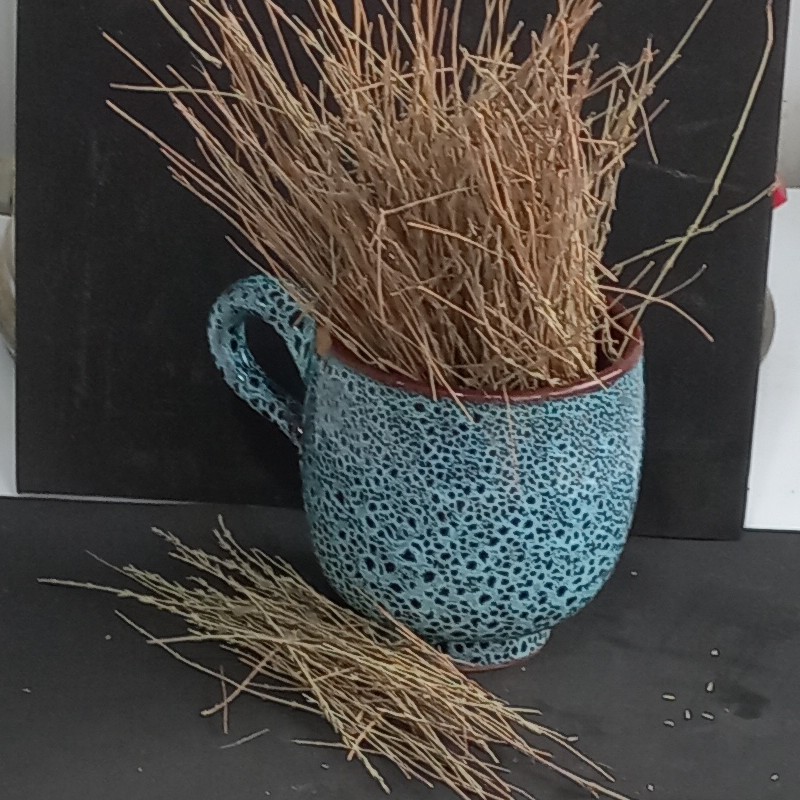  عطاری چای کوهی(100گرم)