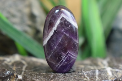 امتیست شورون