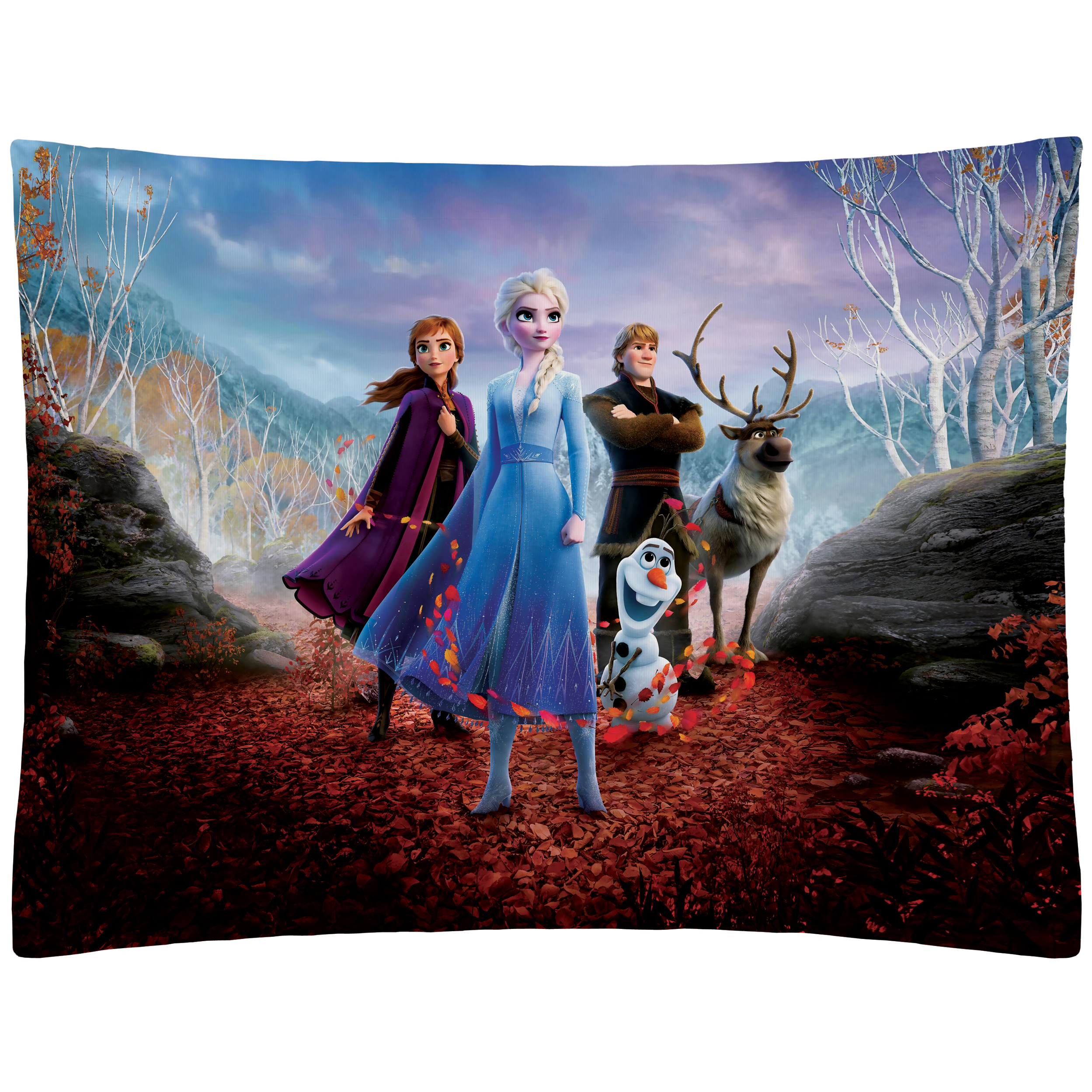 رو بالشی رنس مدل PP1-20605