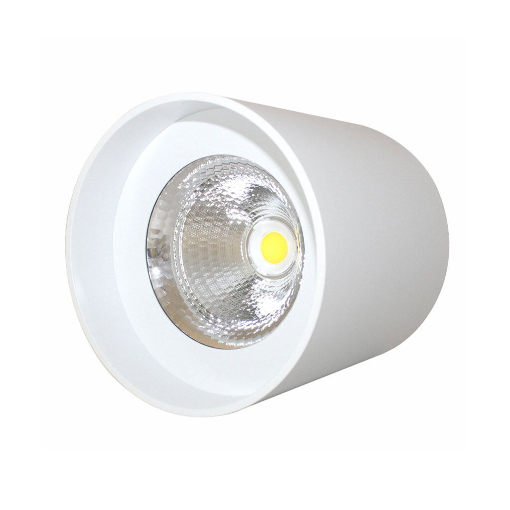 چراغ سقفی COB استوانه 30 وات فاین الکتریک مدل FEC-530
