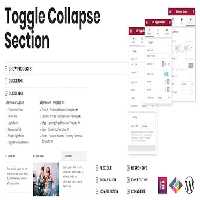 دانلود افزونه Toggle Collapse Section برای المنتور
