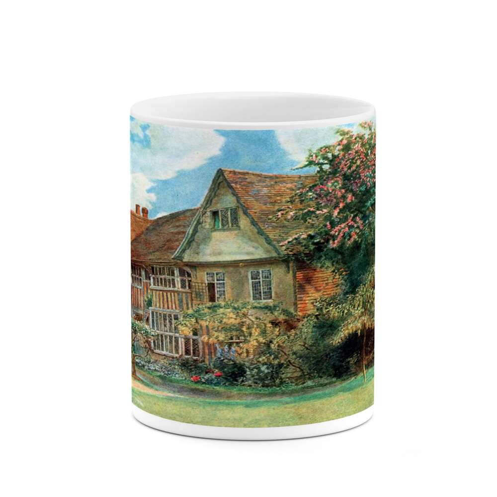 ماگ کاکتی طرح نقاشی مدل mgs13801