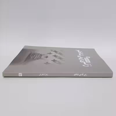 کتاب زنی که می شناختم اثر زهرا شاهرخی انتشارات چلچله