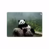 برچسب پوششی ماهوت مدل Panda مناسب برای تبلت اپل iPad Air 2013 A1475