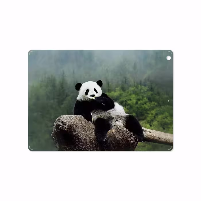 برچسب پوششی ماهوت مدل Panda مناسب برای تبلت اپل iPad Air 2013 A1475