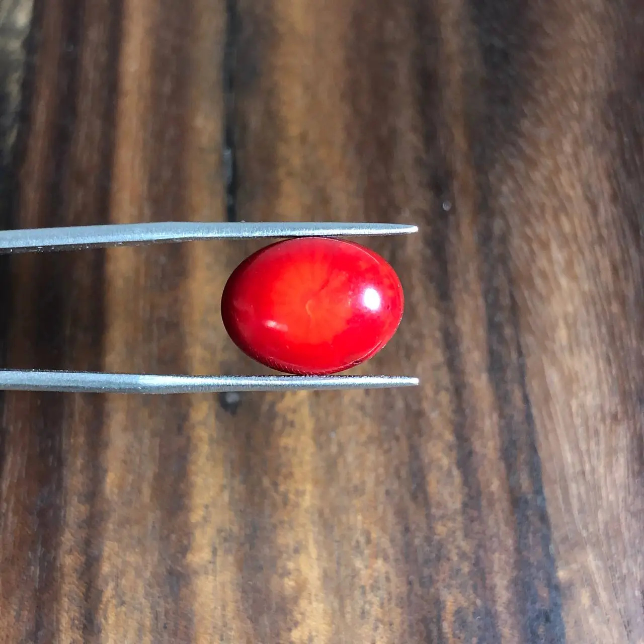 مرجان درجه یک سرخ بهسازی شده 241327