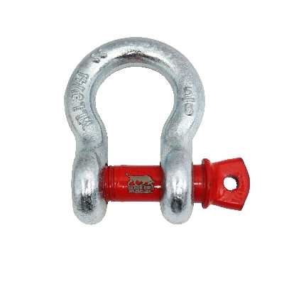 شگل مدل بلک بول کد YP-03.25T