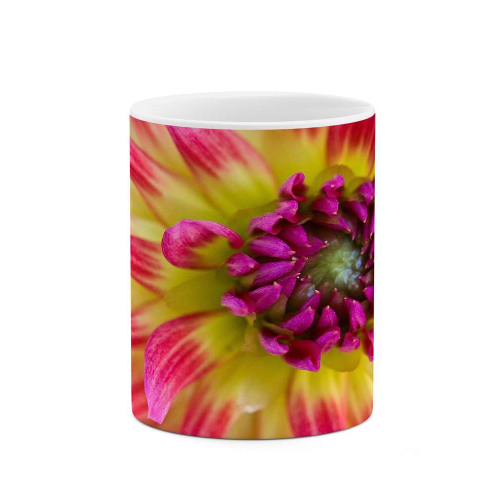 ماگ کاکتی طرح گل مدل mgs16000