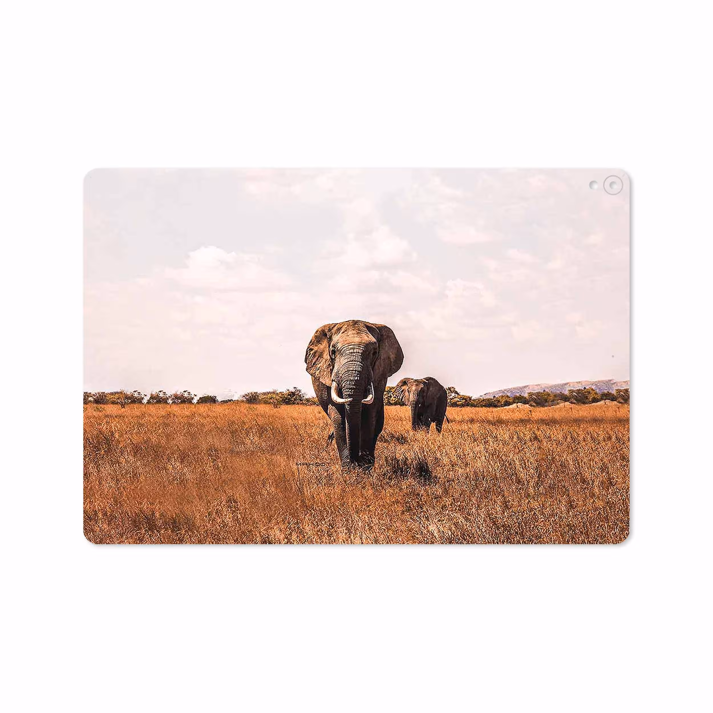 برچسب پوششی ماهوت مدل Elephant مناسب برای تبلت اپل iPad Pro 10.5 2017 A1709