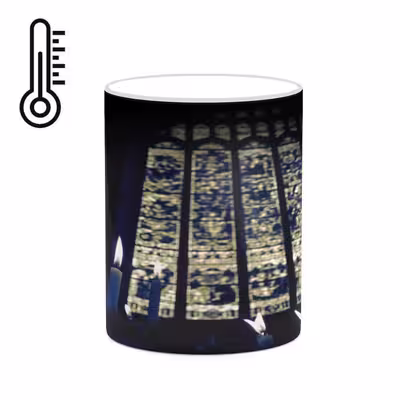 ماگ حرارتی کاکتی طرح فانتزی مدل mgh20873