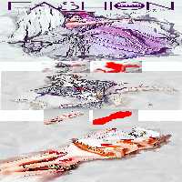 دانلود اکشن Fashion Sketch برای فتوشاپ