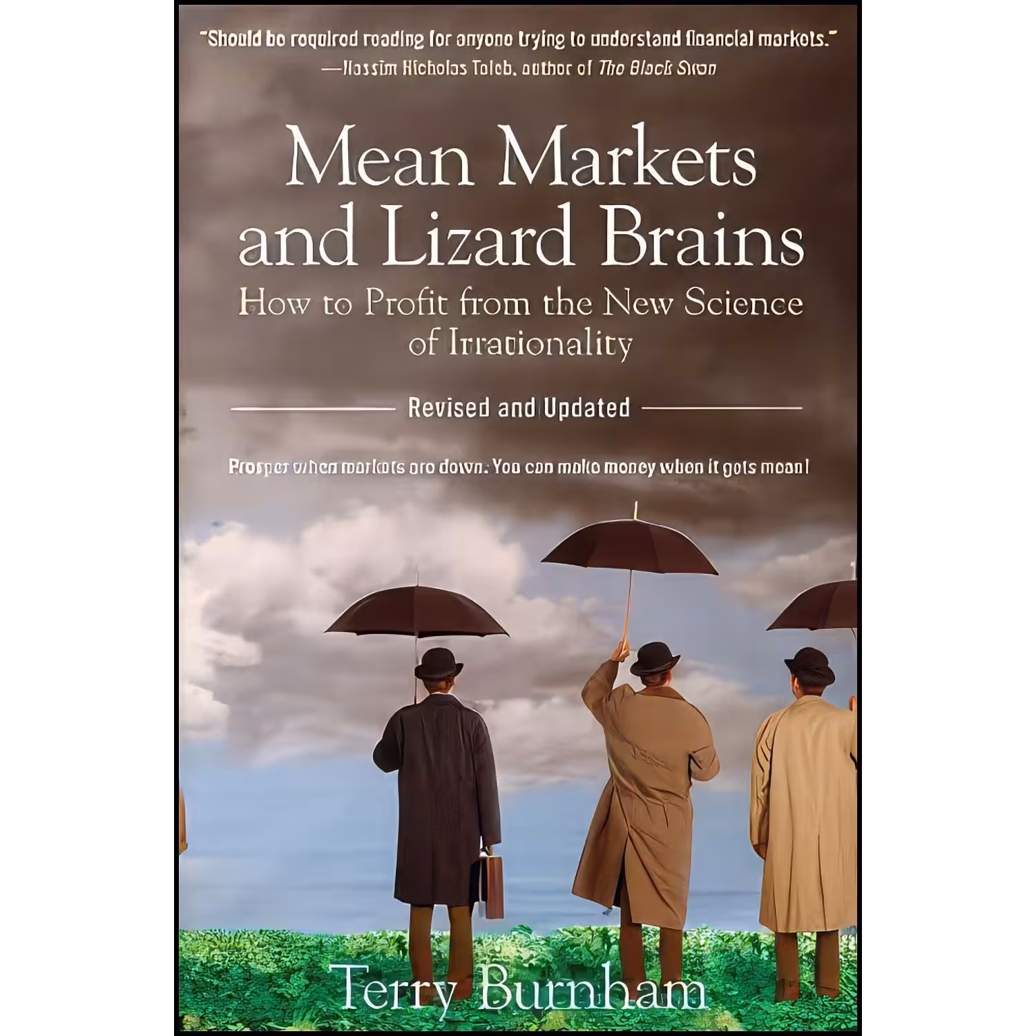 کتاب زبان اصلی Mean Markets and Lizard Brains اثر Terry Burnham