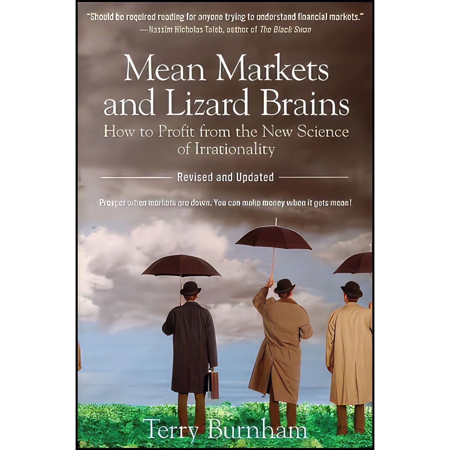 کتاب زبان اصلی Mean Markets and Lizard Brains اثر Terry Burnham