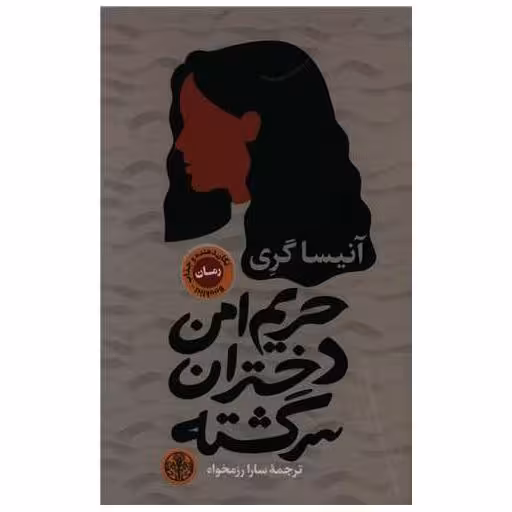 کتاب حریم امن دختران سرگشته اثر آنیساگری