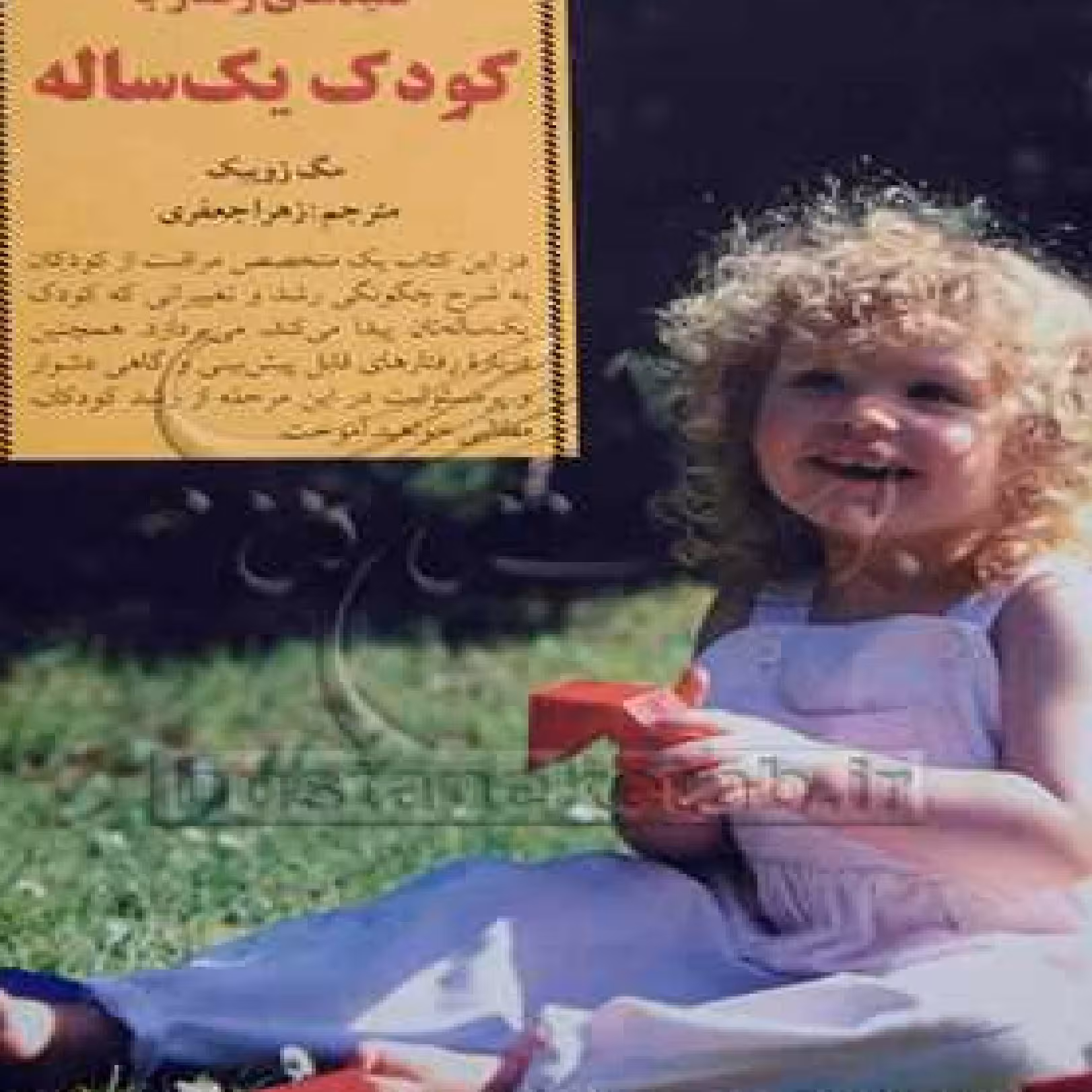 کلیدهای رفتار با کودک یک ساله اثر مگ زویبک با ترجمه زهرا جعفری نشر صابرین