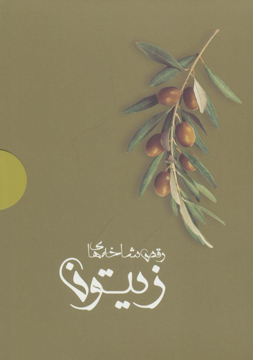 رقص شاخه های زیتون (4جلدی،باجعبه) - ناشربوک | خرید آنلاین کتاب