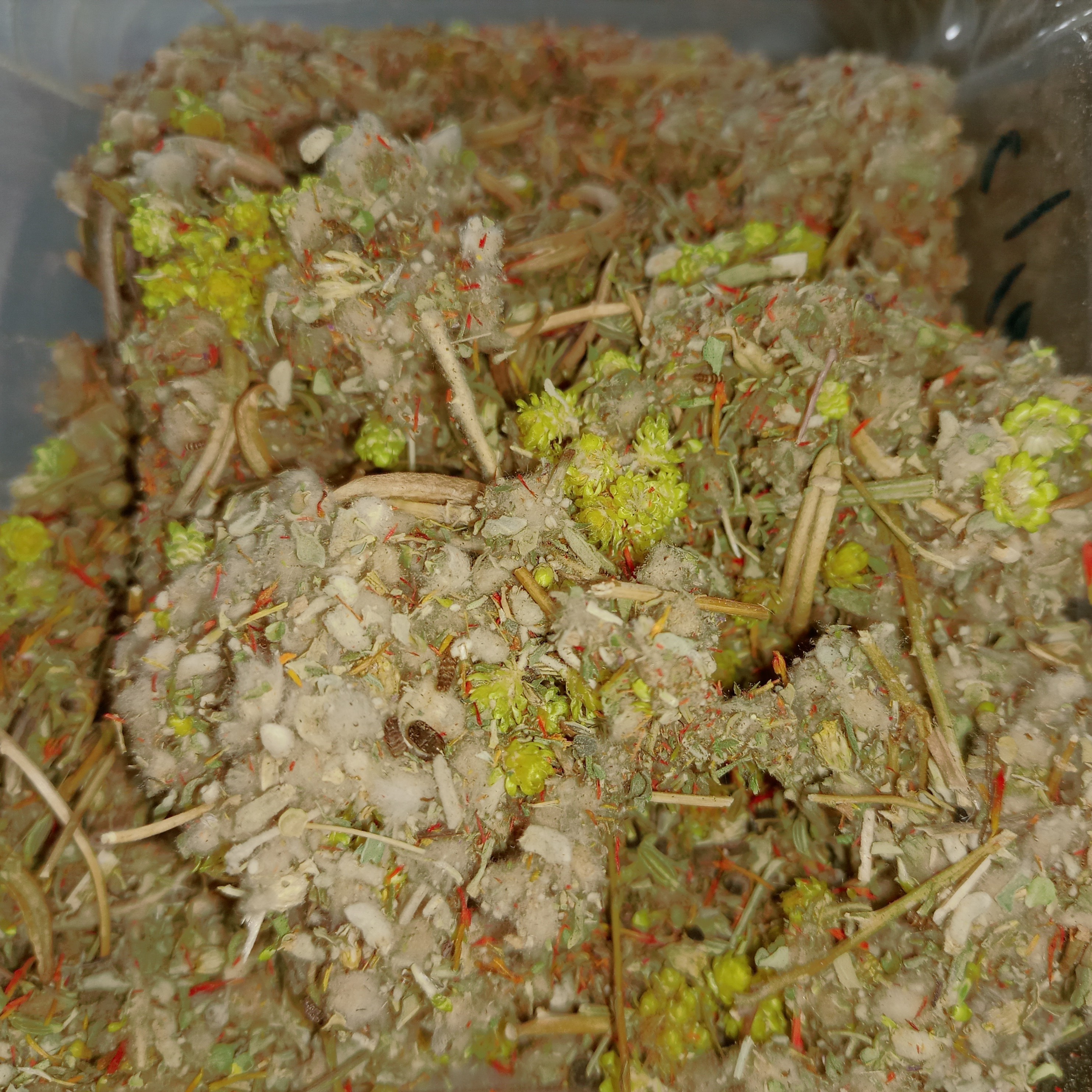 ترکیب گیاهی رفع عفونت بانوان 100 گرمی ( عطاری فاطر )