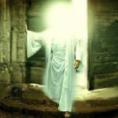 تحقیق ظهور قیام وتشکیل حکومت جهانی حضرت مهدی