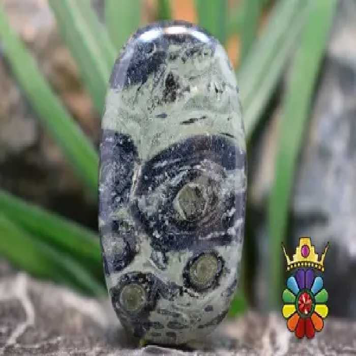 جاسپر کهکشانی( کامبابا جاسپر)