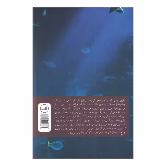 کتاب در دسترس نیست اثر محسن عباسی نشر ثالث