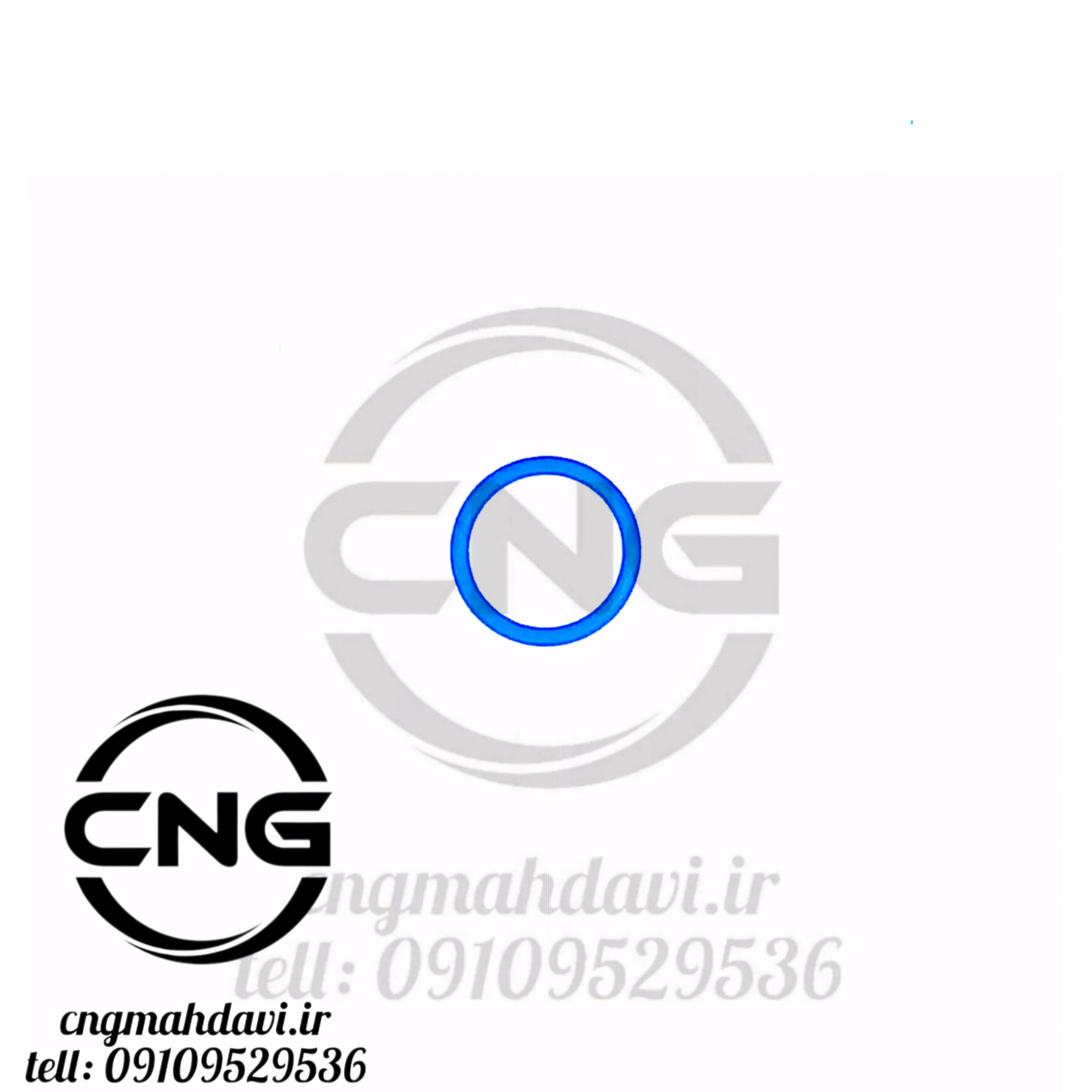 اورینگ داخل سه تیکه برنجی رگلاتور بوش EF7 | سی ان جی مهدوی