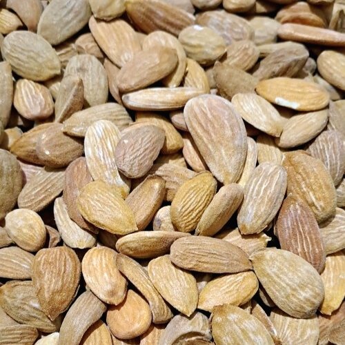 مغز بادام درختی