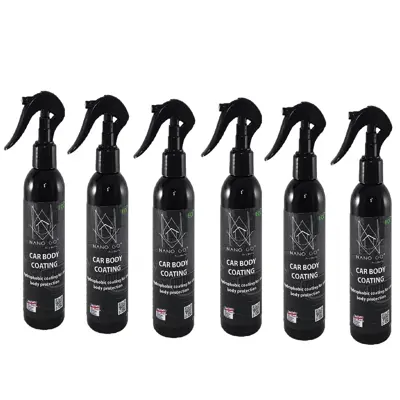  پوشش نانو سرامیک و آبگریز بدنه فوری خودرو نانو گو مدل CAR BODY COATING حجم 250 میلی لیتر بسته 6 عددی
