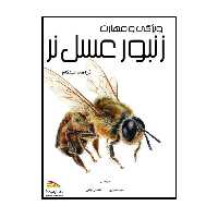کتاب ویژگی و مهارت زنبور عسل نر اثر گراهام کینگهام انتشارات پادینا