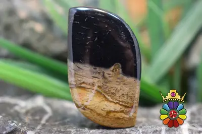 پلام وود جاسپر