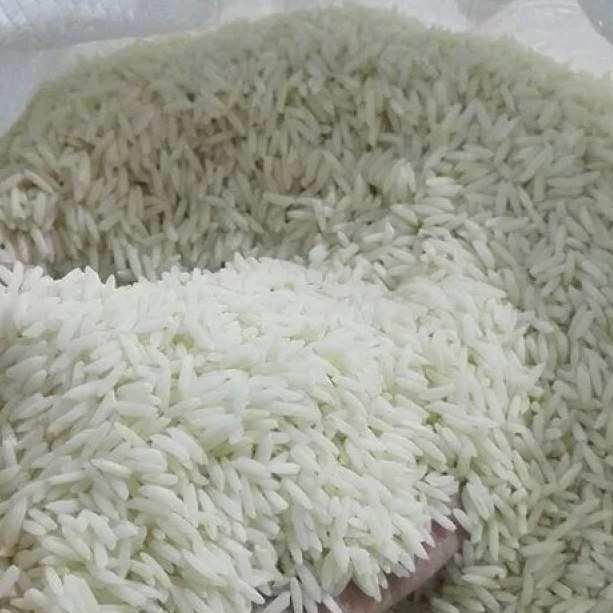 برنج طارم محلی درجه یک فریدونکنار امساله الک شده کیسه 5 کیلویی