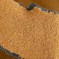 خاکشیر دامنی امسالی (یکدست) 5 کیلوگرم