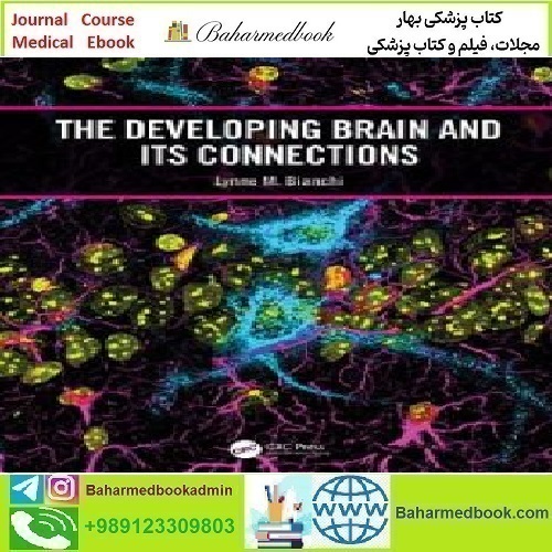 The Developing Brain and its Connections 2023 TRUE PDF price