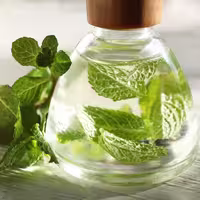عرق نعنا روحی