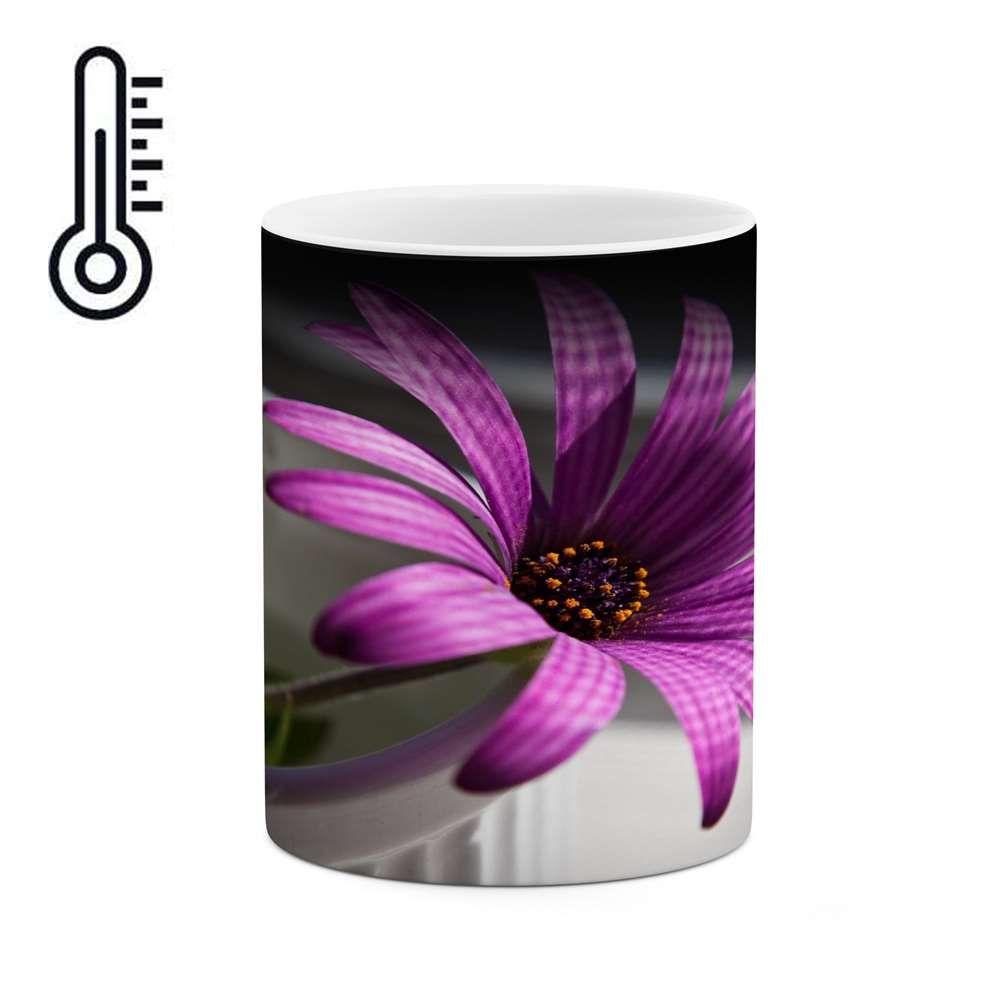 ماگ حرارتی کاکتی طرح گل مدل mgh15907